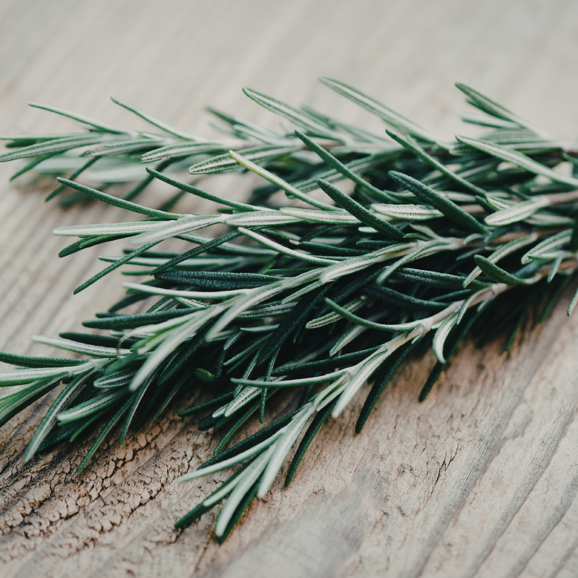 Boost Your Well-being with Rosemary