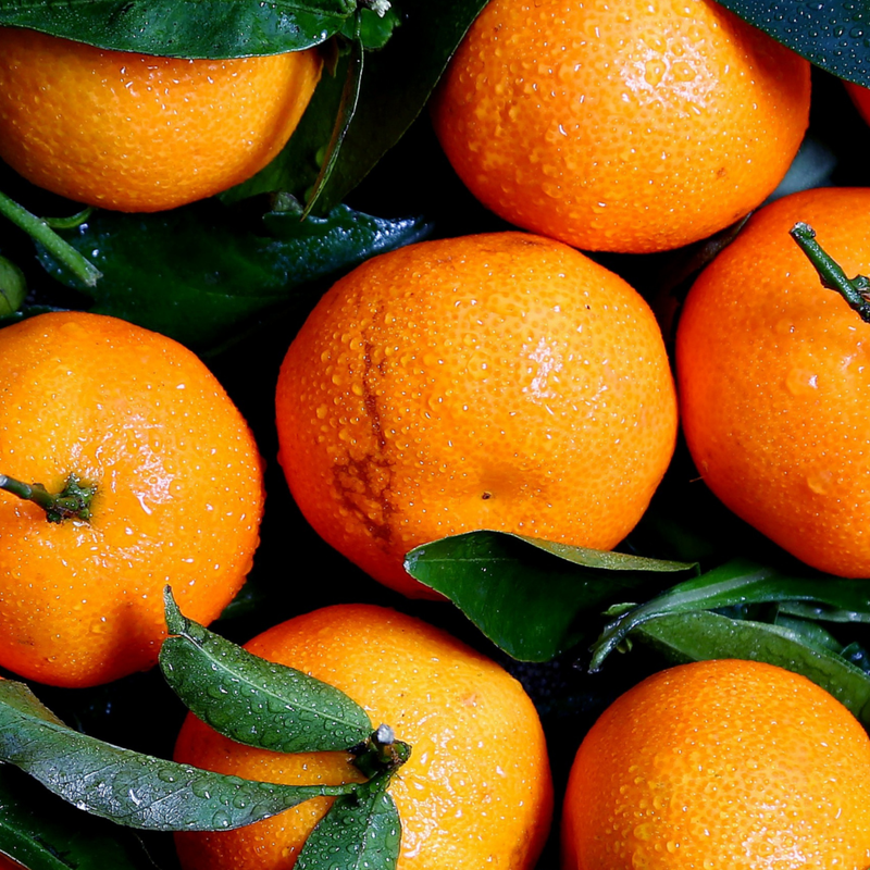 Moodtanicals explains the healing power of the terpenes in oranges.